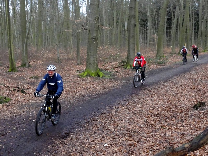 O-CTF RG Uni Heimfelder Dirk 762